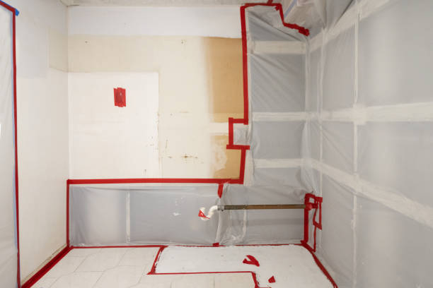 Best Biohazard Mold Removal  in Madison, NC