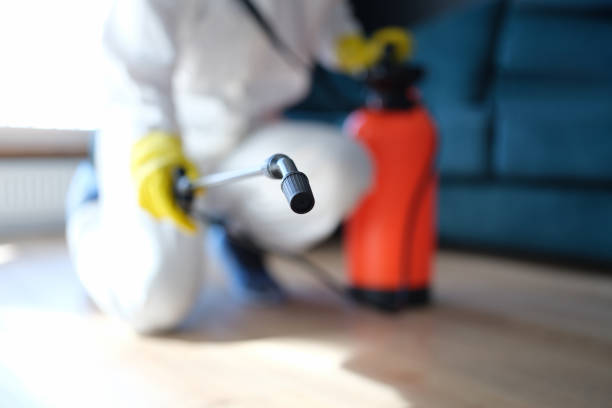 Best Post-Construction Mold Inspection  in Madison, NC