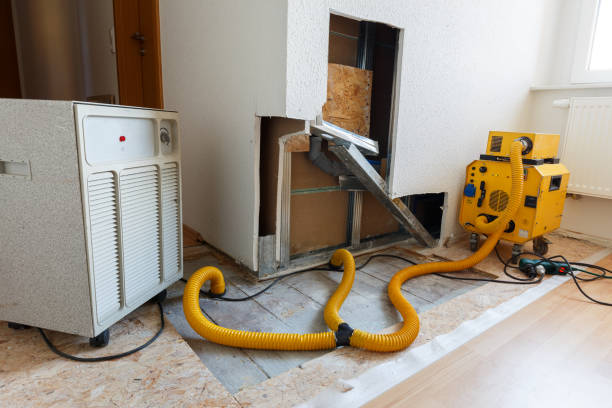 Best Indoor Air Quality Assessment  in Madison, NC
