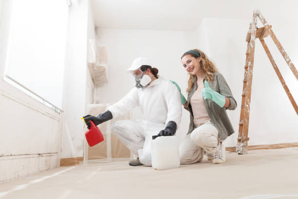 Best Residential Mold Inspection & Testing  in Madison, NC