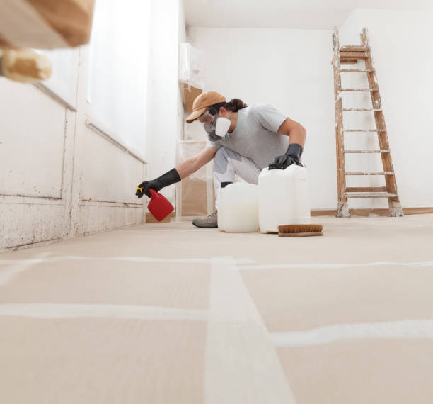 Best Mold Damage Restoration  in Madison, NC